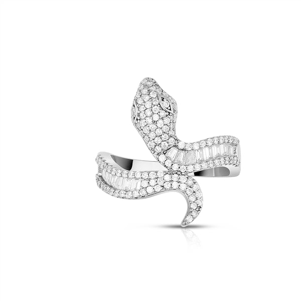 Anillo Fancy Snake